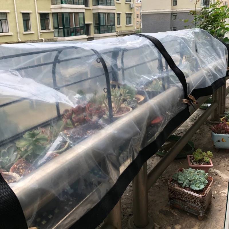 Tewango прозрачный дождь брезент прозрачная пленка Видимый Дождь Защита балкон суккулент растения укрытие поддерживать температуру тент парус