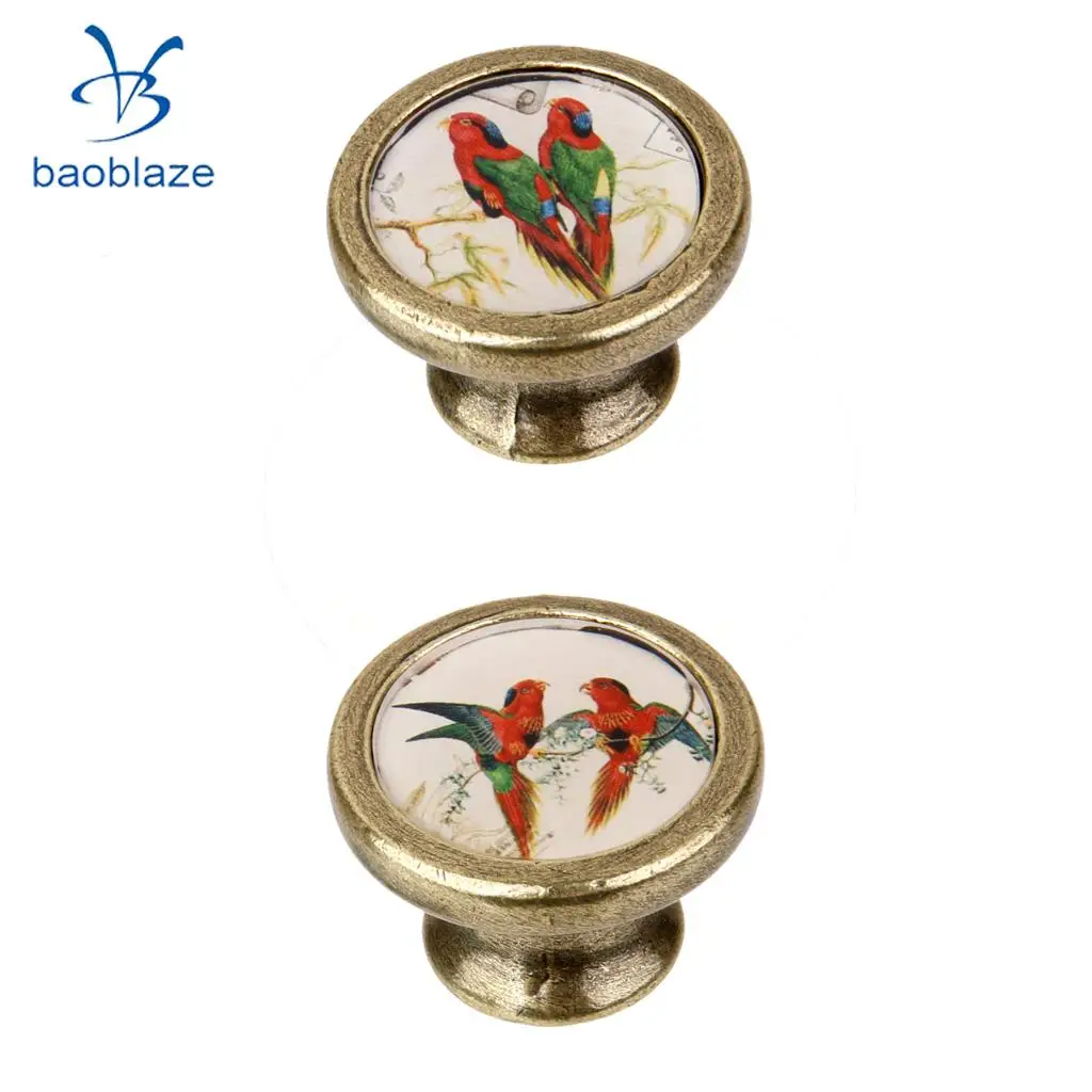2 Pieces Antique Brass Cabinet Drawer Round Pulls Wardrobe Cabinet Door Cupboard Knob Handle Colorful Birds Pattern