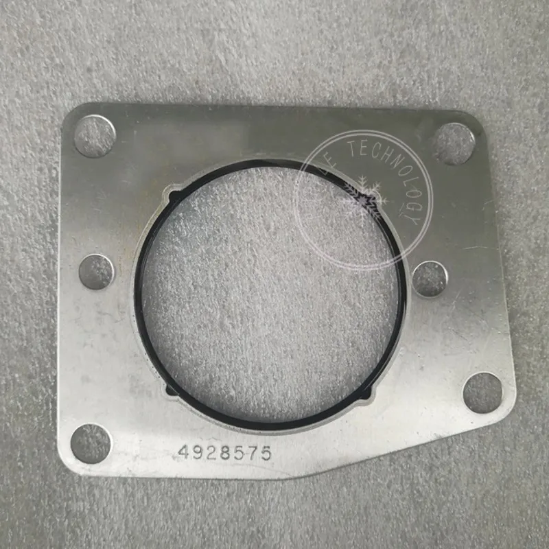 fuel injection pump gasket
