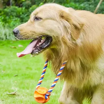 

Dog Chewing Toy Rubber Bite-resistant Ball Throw Fetch Interaction Ball with Rope for Training Hot Sale