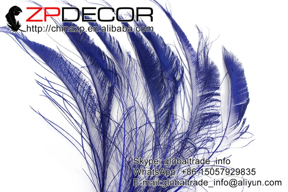 Royal blue peacock swords feathers (1)