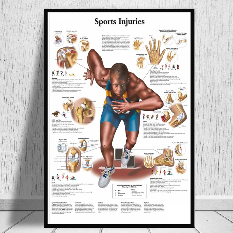 

Anatomical Chart Human Body Anatomy Medical Art Poster Canvas Painting Wall Picture For Home Decor Posters and Prints
