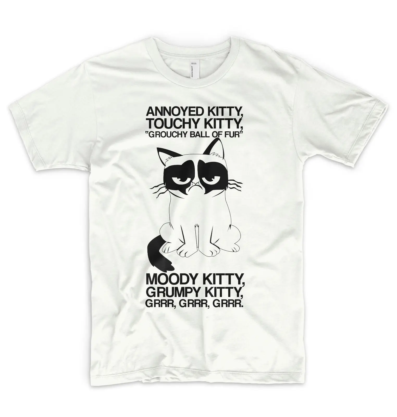 

The Big Bang Theory T Shirt Sheldon Song Grumpy Cat Annoyed Moody Kitty Free shipping Harajuku Tops Fashion Classic Unique
