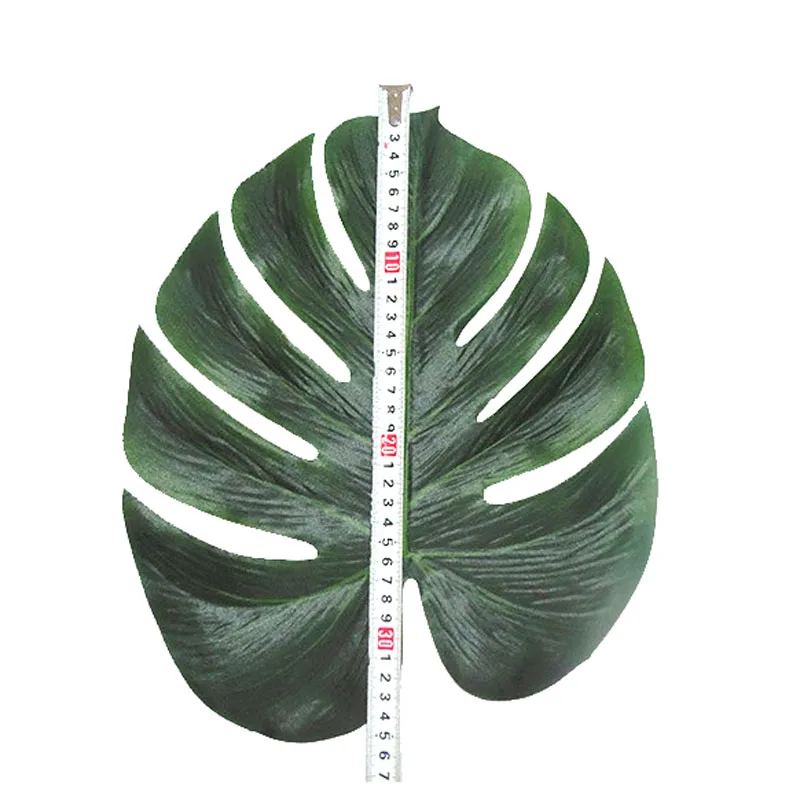 3444988852_1585473543