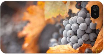 Grapes For Iphone 4 4S Cool Hard Case Free Shipping |