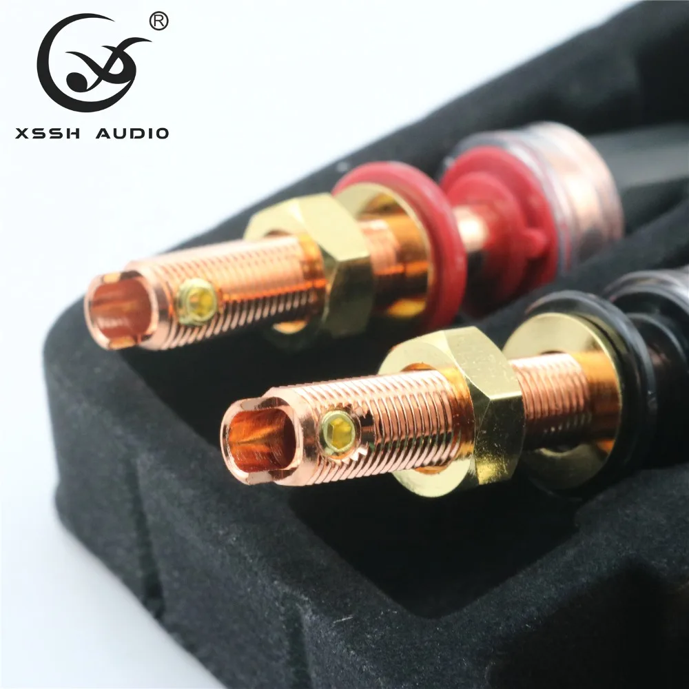 banana audio jack  09