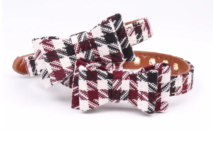 8573306575_307791824