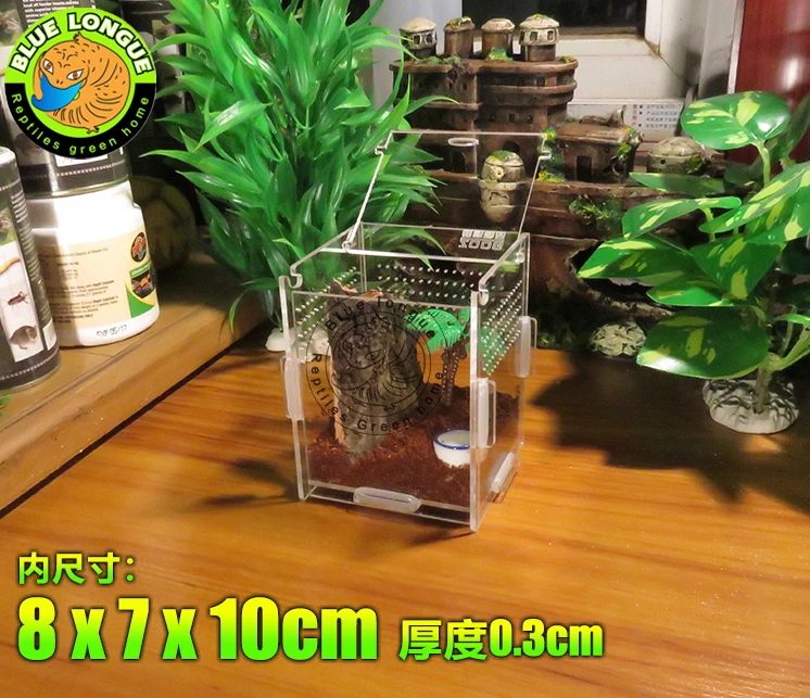 Crystal Acrylic Herp Pet Cage, Small box mosquera acrylic pet feeding