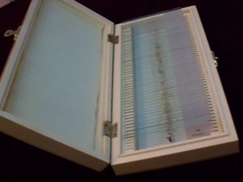 

Human histology microscope prepared teaching slides