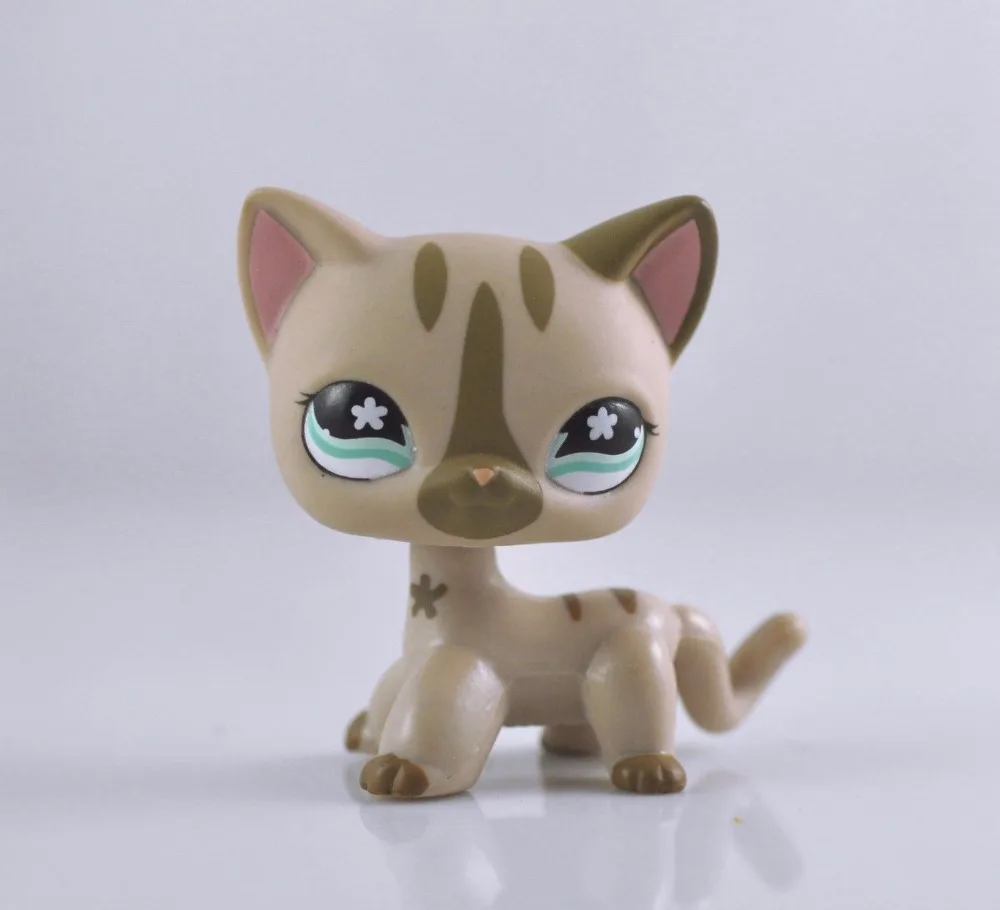 Kolorowanki Kot Darmowe Kolorowanki Do Wydruku