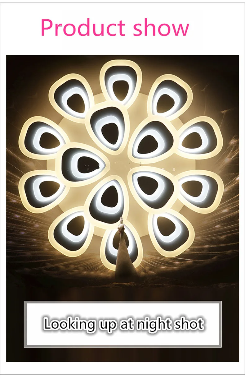 01 (1)