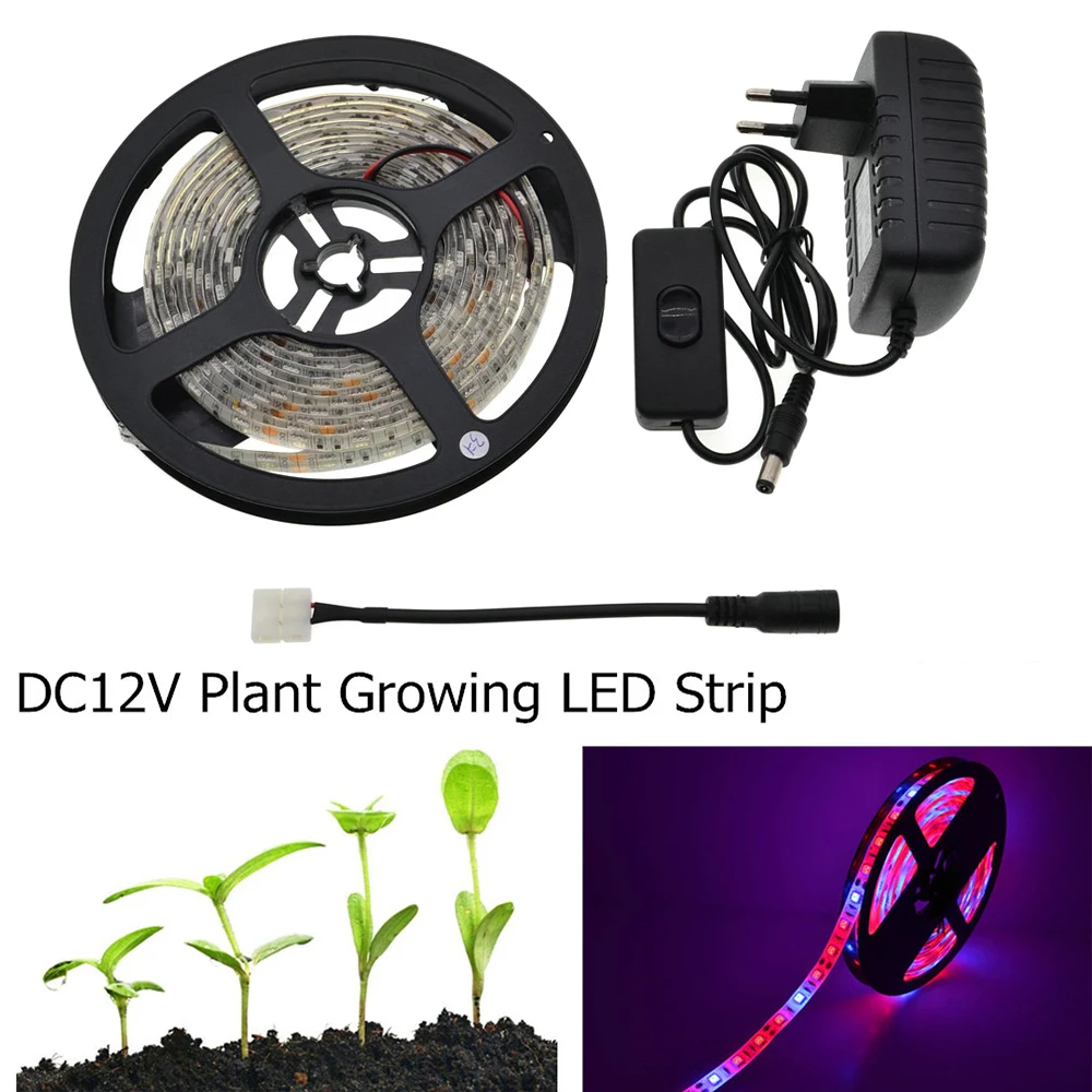 buy LED Plant Grow Light 5050 LED Strip Waterproof DC12V 60LED M Red Blue 31 41 51 For Greenhouse Hydroponic Plant Growing+Switch