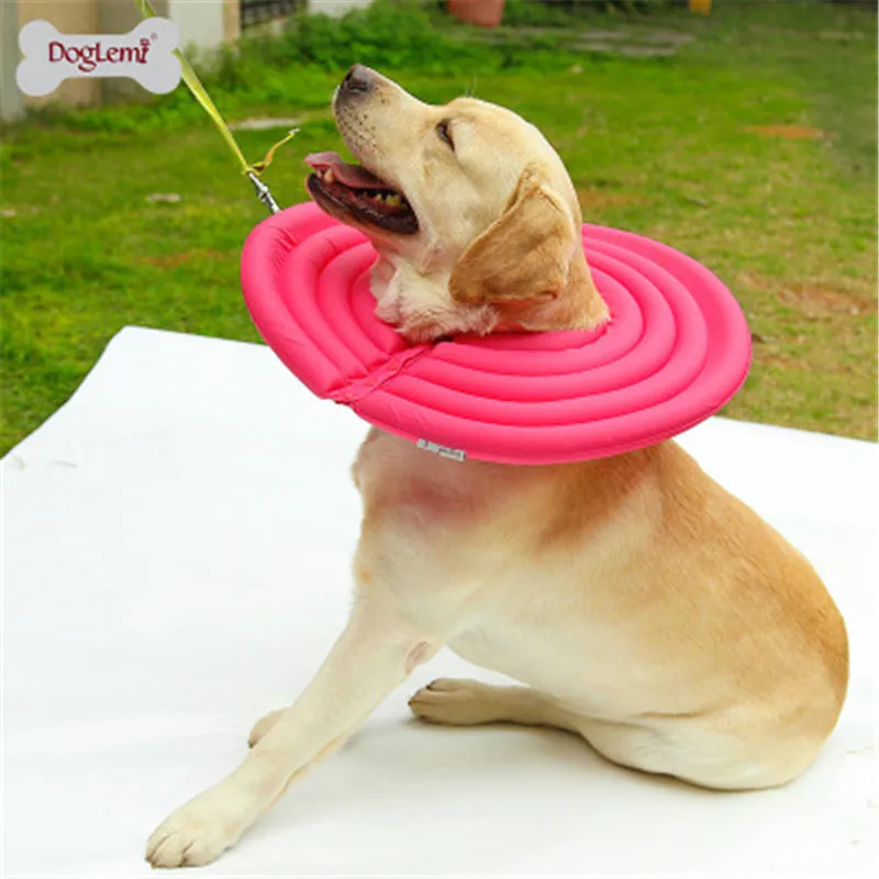 DogLemi удобный защитный чехол для домашних животных кошек и собак от укусов Ранок|cat