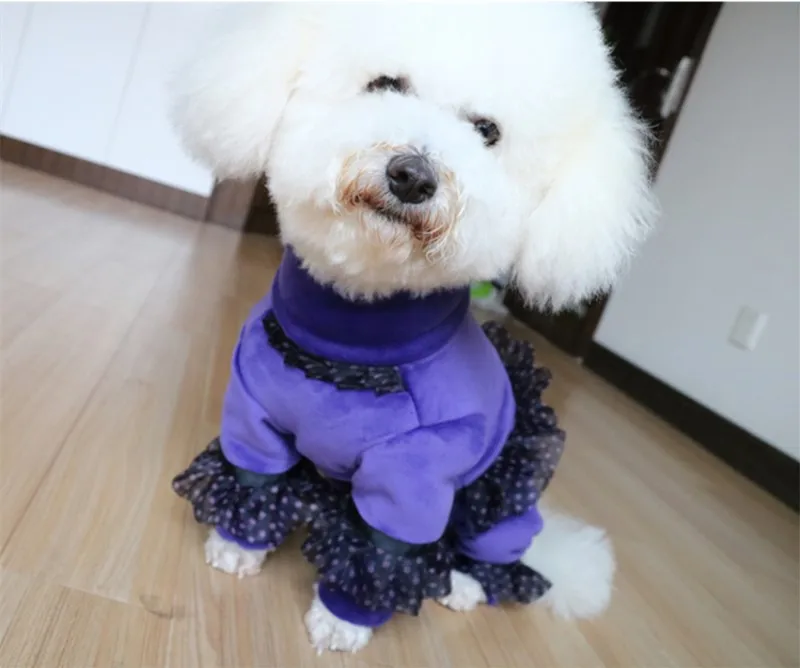 dog girl jumpsuits (8)