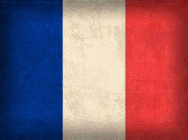 Design-T-120-France Flag Distressed Vintage Finish Mixed Media,