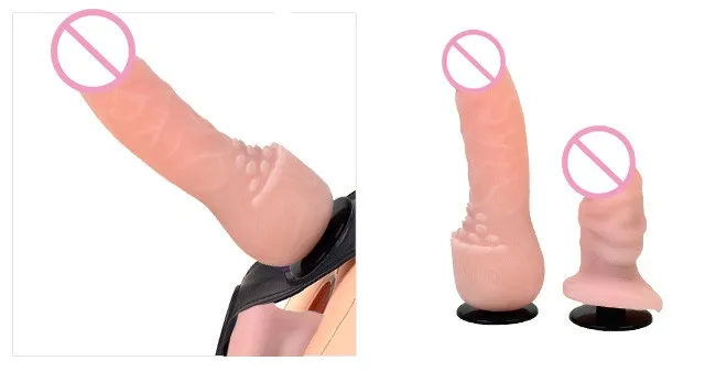 penis