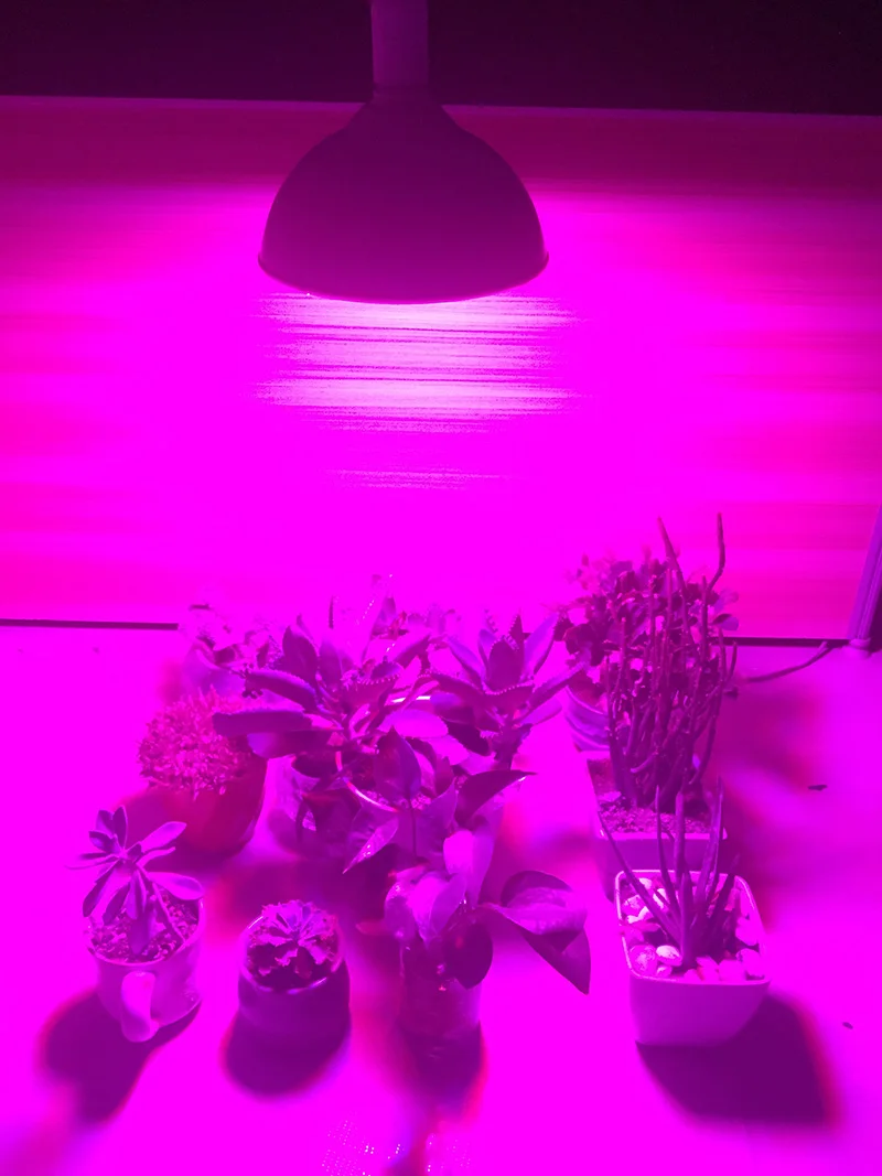 500 800 Led растительный светильник палатка красный синий гидропоника цветок лампа