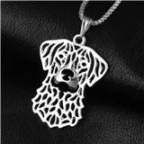 78-22x28mm,chesapeake bay retriever Necklace