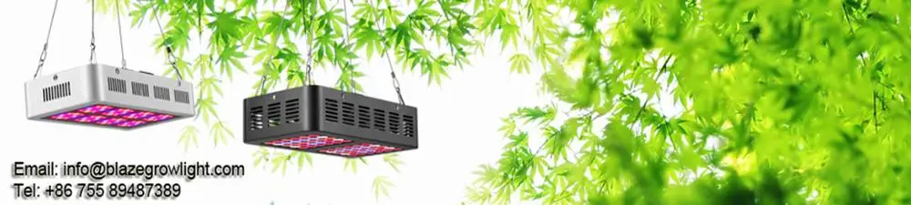 Figolite grow wifi smart Full spectrum беспроводная Настройка графиков светодиодный свет для внутреннего завода