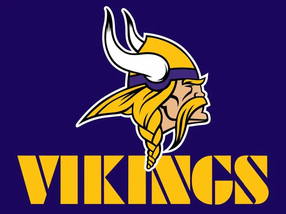 Minnesota Vikings Flag 3ft x 5ft Polyester Banner with 2 Metal Grommets