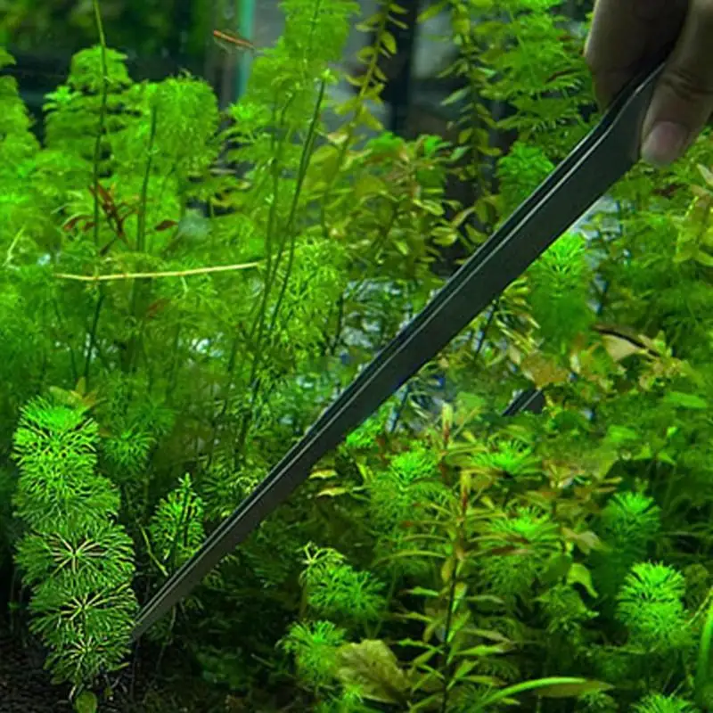 1Pcs Universal 27CM Aquarium Plant Shrimp Reef Tank Stainless Steel Fish Pet Straight Tweezer Crooked Tweezer Cleaning Tool