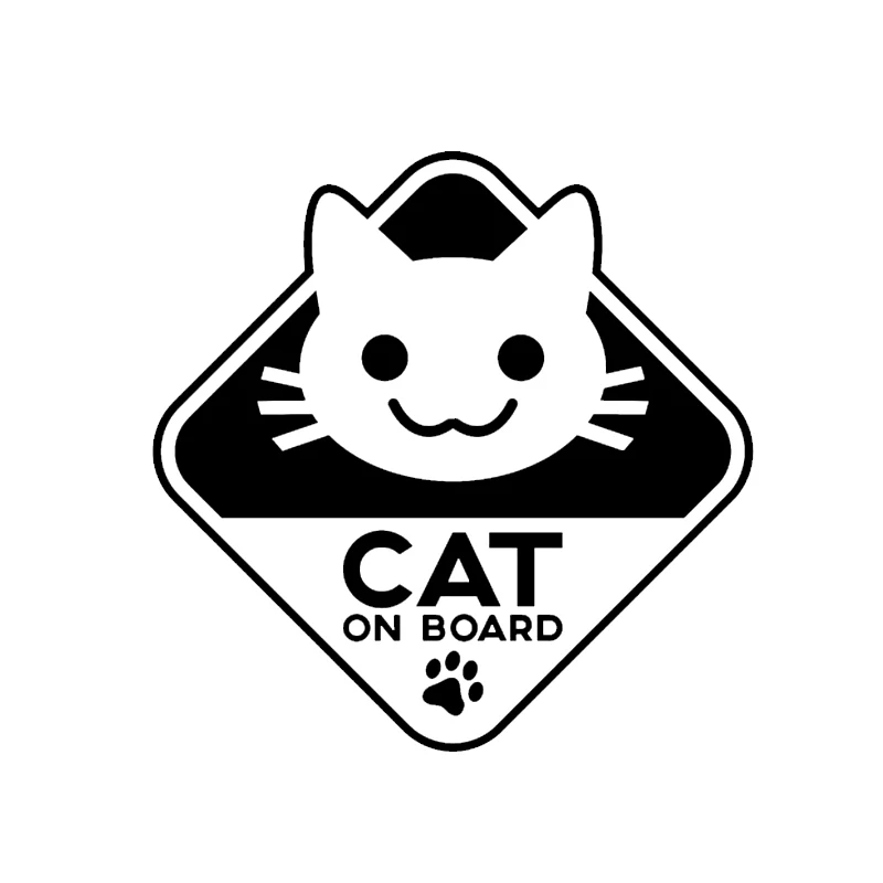 cat on board