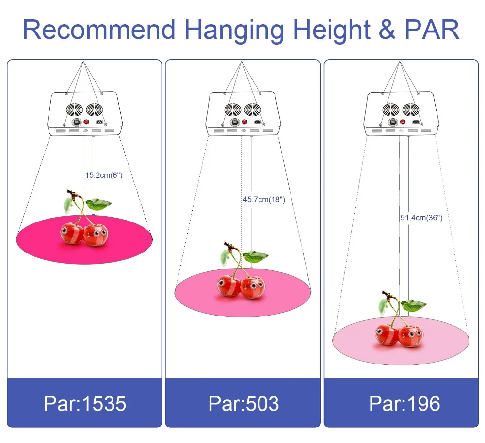 5.PAR