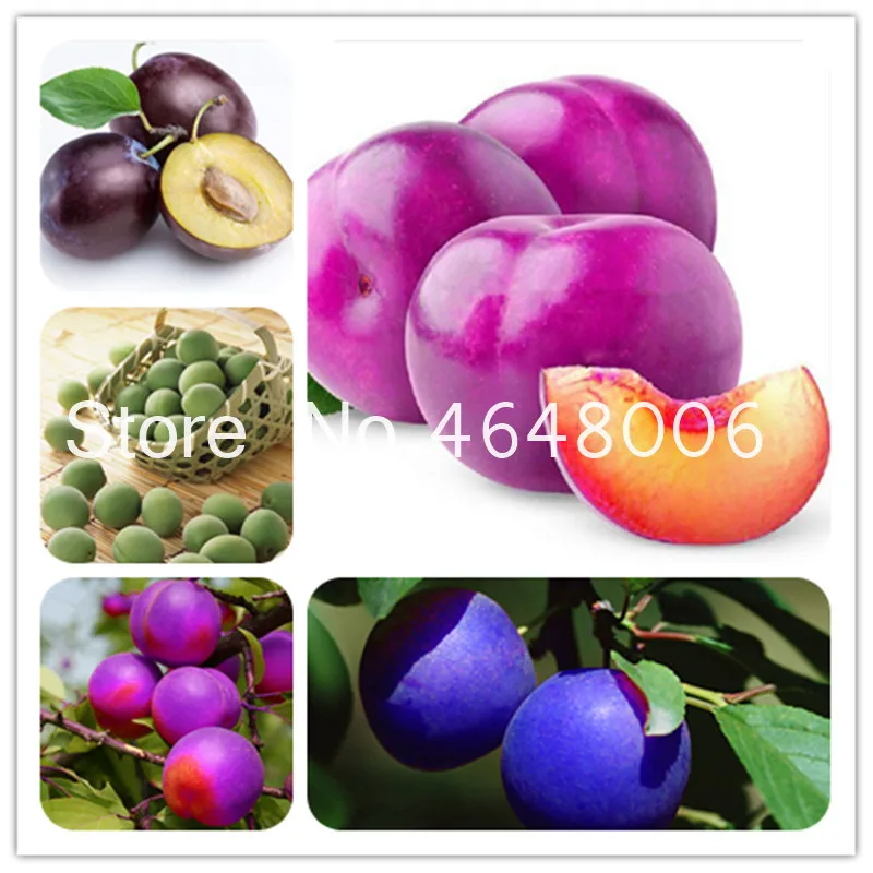 Высокое качество 20 шт Розовый Красный Брин сливы семена бонсай сладкие вкусные фрукты дерево овощи и фруктовые горшки съедобные фрукты