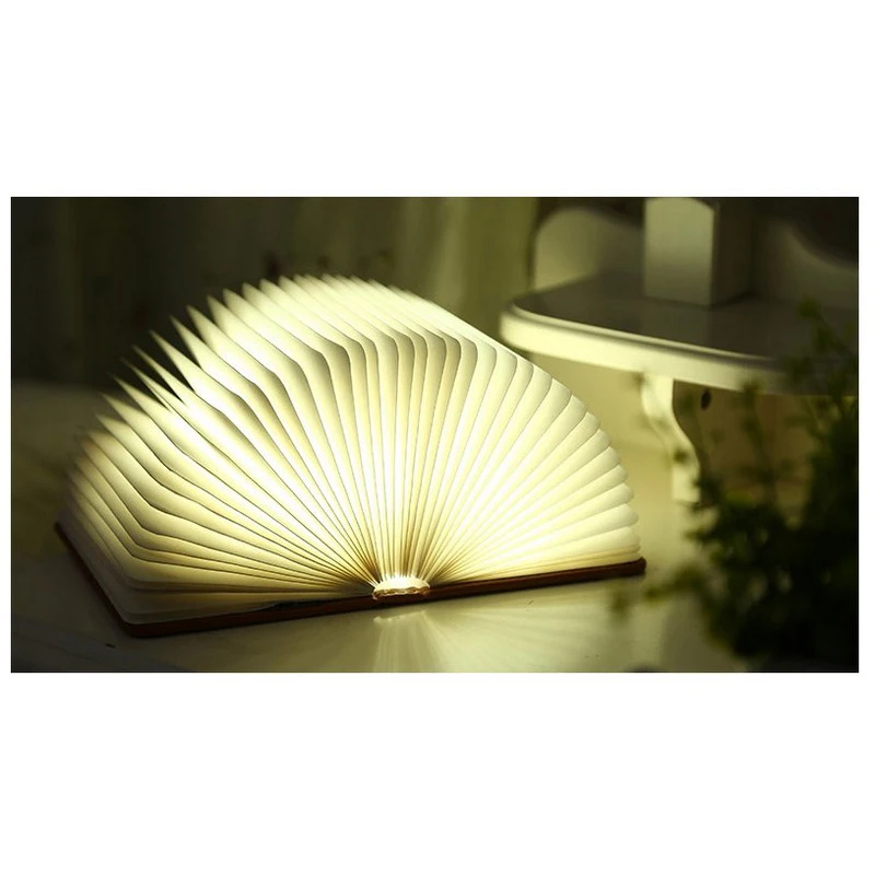 book lamp (9)