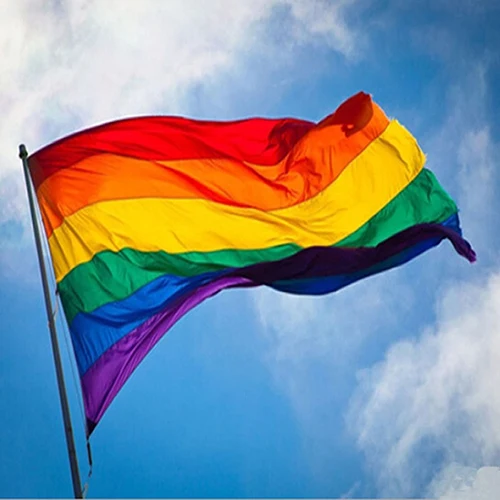

Fashion Rainbow Flag Durable Big Polyester Lesbian Gay Pride Symbol LGBT Flags