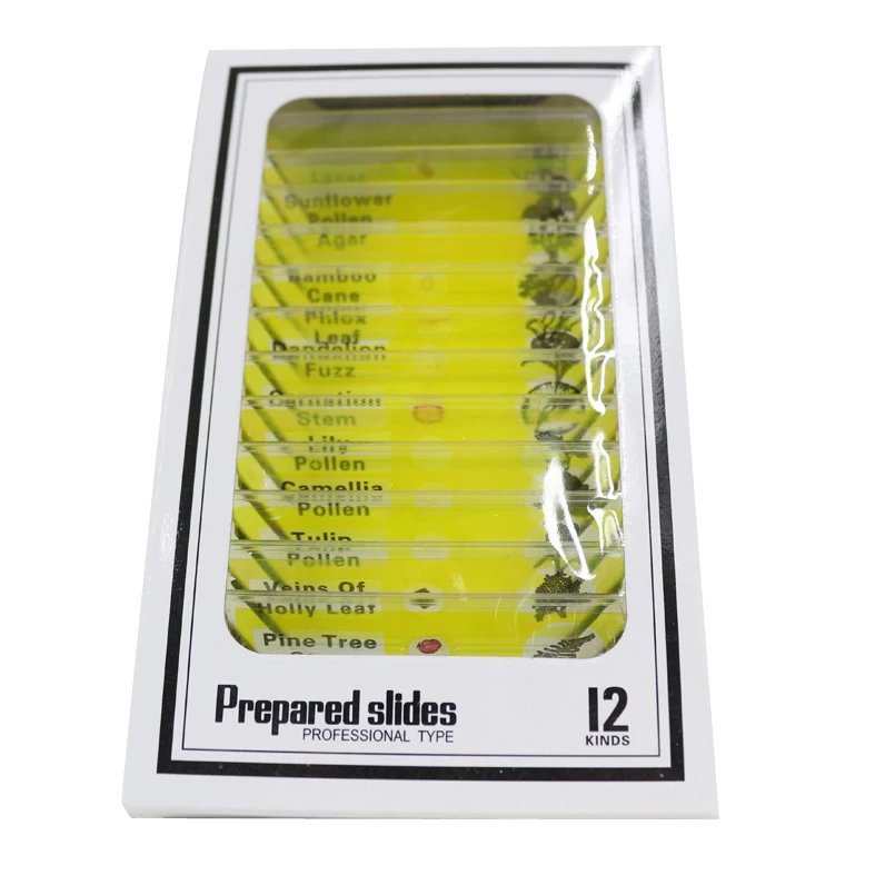 12 pcs plastic prepared slides set for Biological Microscope Prepared microscope slidesin
