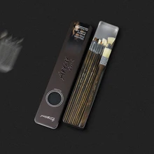 10 шт многофункциональные фломастеры длинный железный ящик художника профессиональное Рисование гуашью нейлоновая свиная щетина для волос набор кистей