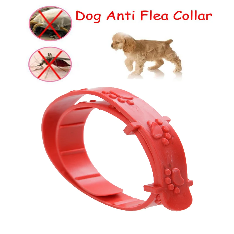 Dogs remove collars Pet Flea Collars Pink Flea Flea Circle Kill Lice