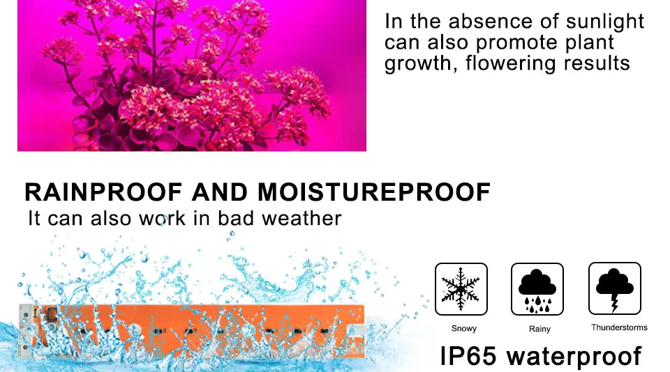 COB led plant grow light (4)