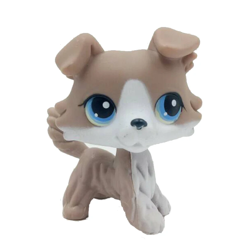 lps collie 67