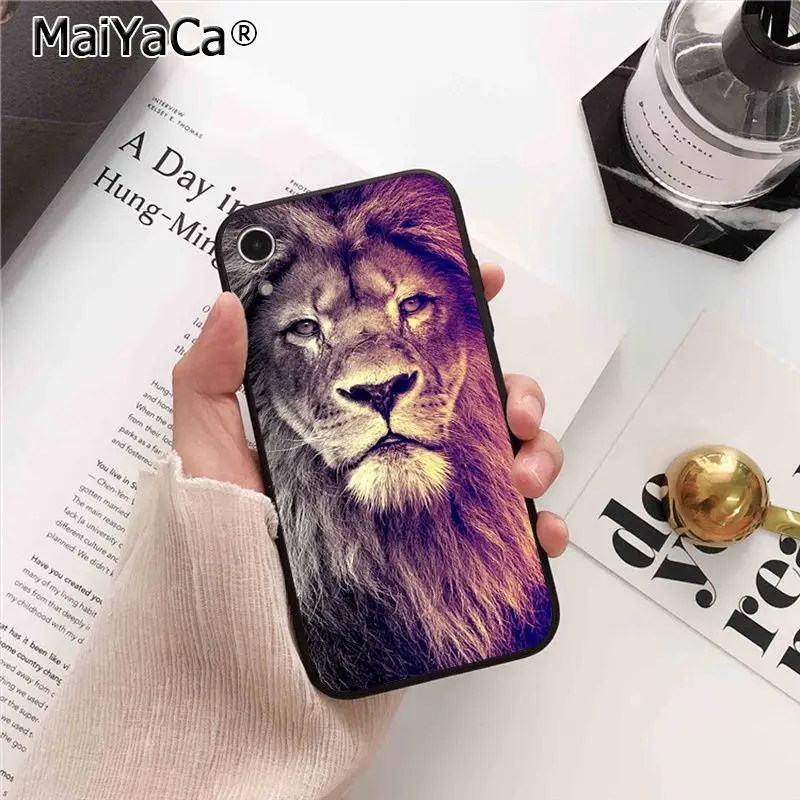 Animals Lion Wolf Owl Elephant Lion Tiger