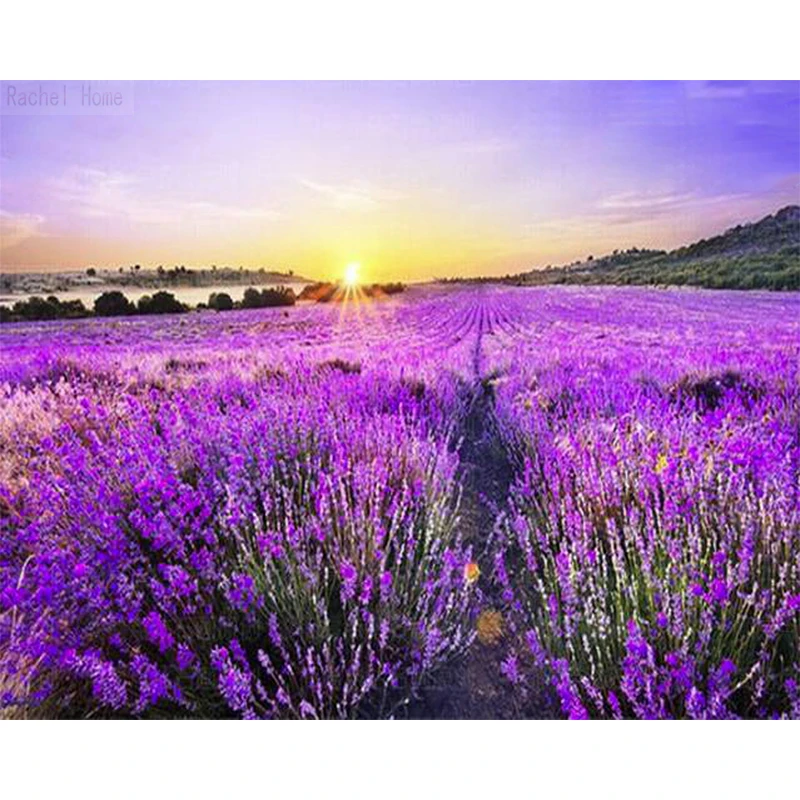 

Diamond Embroidery Diy Diamond Painting Cross Stitch Kits Diamond Mosaic Sunset lavender Full Square Diamond Embroidery CS248