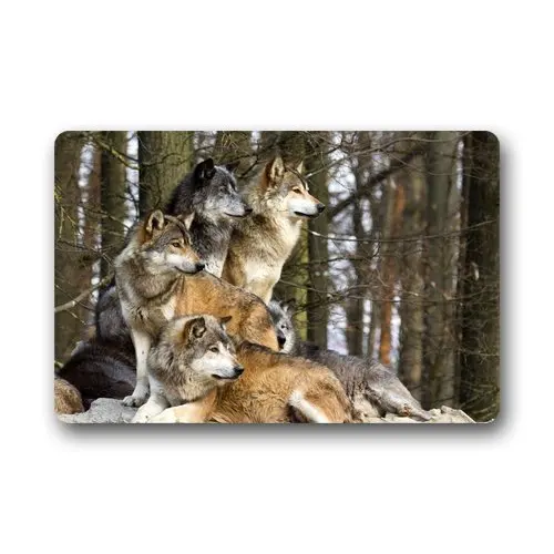 Custom Door Mat Symbol Society Family Timber Wolves Vintage
Manchine-Washable Doormat Outdoor Indoor Floor Mat