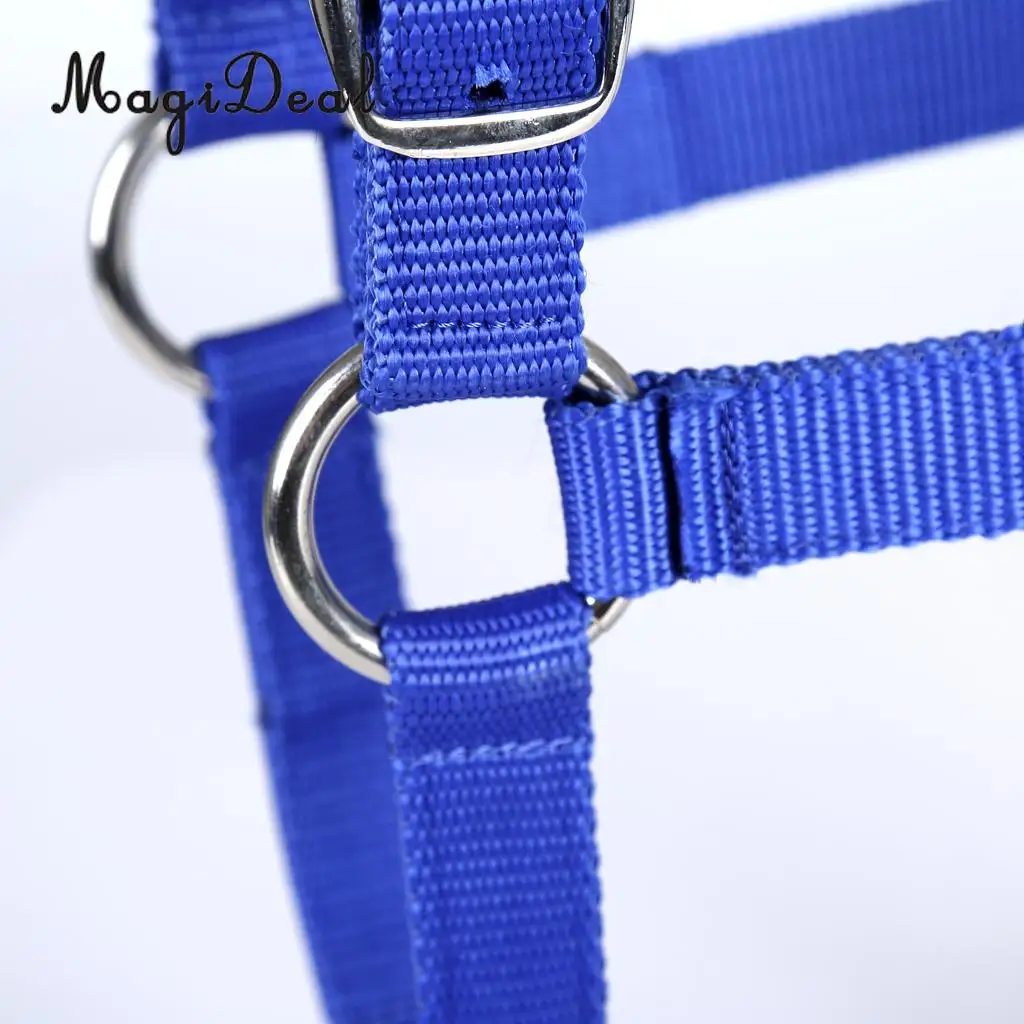 Adjustable Equestrian Western Horse Halter Fits 130cm - 165cm Horse Black/Blue/Red