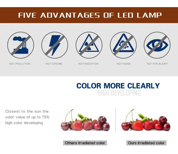 LED-T5-Tube-p1-03