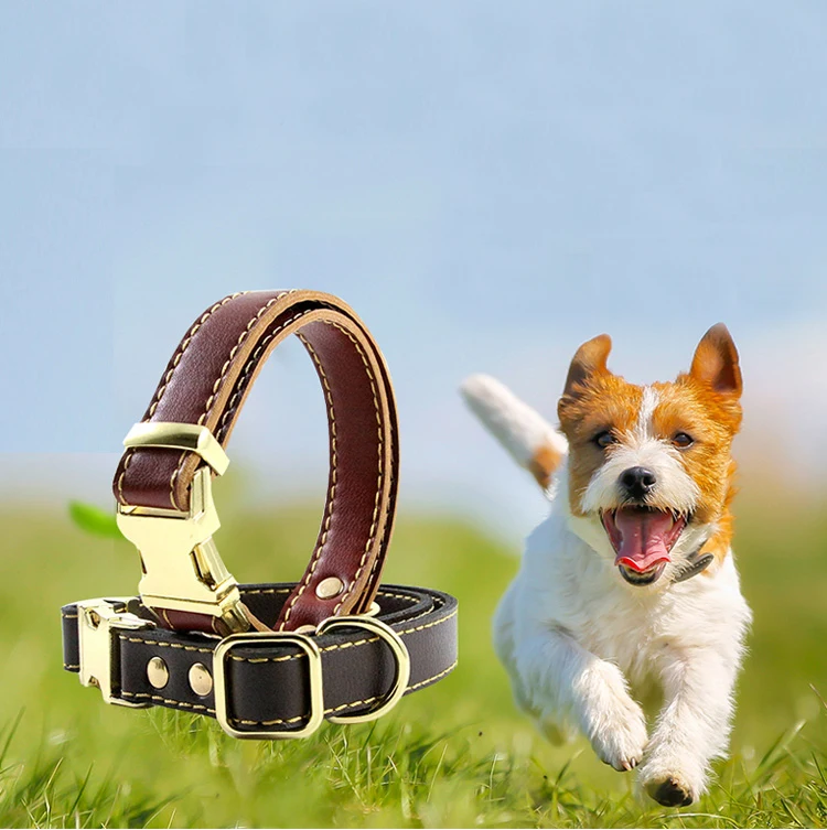Genuine Leather Pet Dog Collar Durable and Comfortable Adjustable S M L