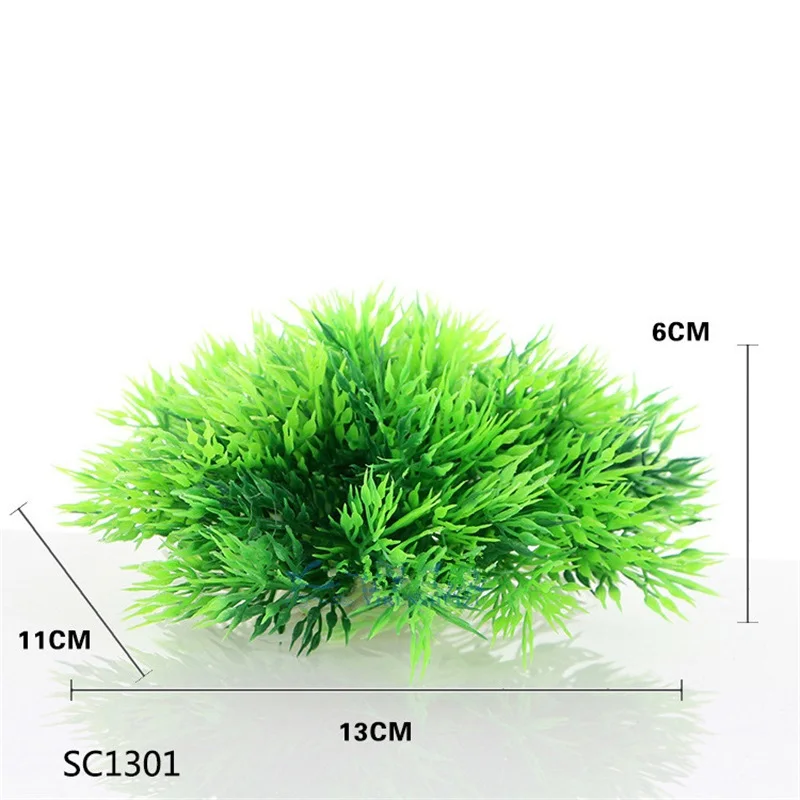 sc-6