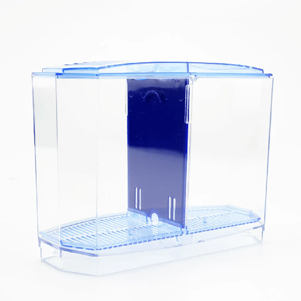 Buy Mini Small Fish Tank Aquarium Durable With Grass