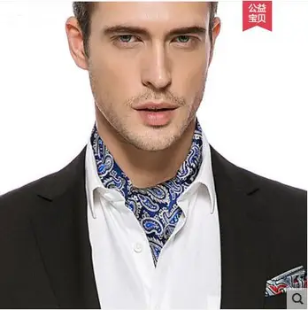 

High Quality Men Necktie silk Paisley Cravat Ascot tie Mens