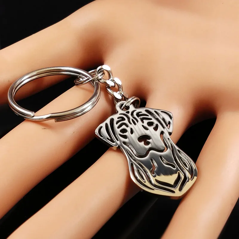 Брелок для ключей из нержавеющей стали с покемоном и собакой B969S02|key chain|stainless steel key