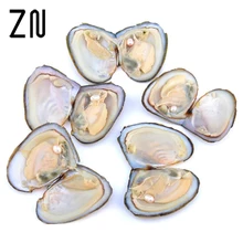 Индивидуальная упаковка устриц с большим жемчугом подарок на день рождения натуральный пресноводный жемчуг Подарки