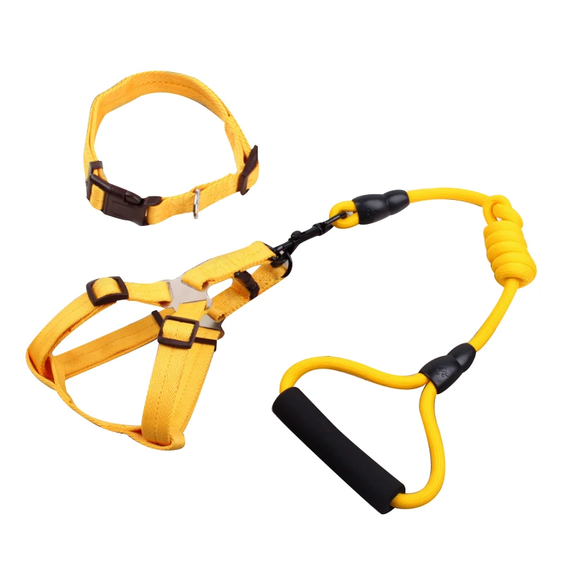 New Hot style font b Pet b font font b Supplies b font Dog Leash Collar