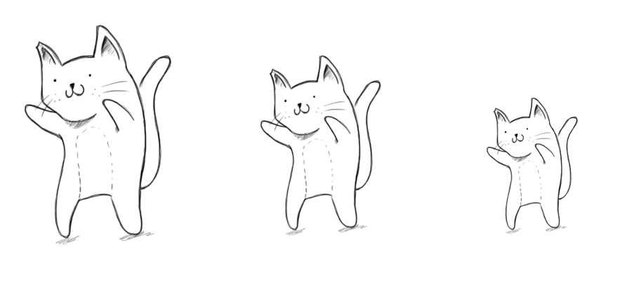 cat