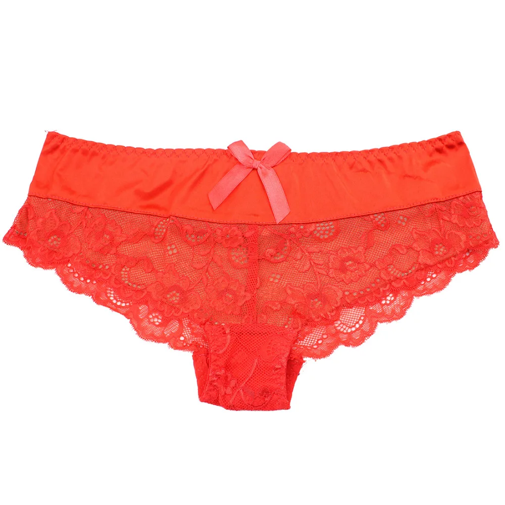 Shitagi France Sexy Transparent Lace Panty Red Brief Thong Ultrathin