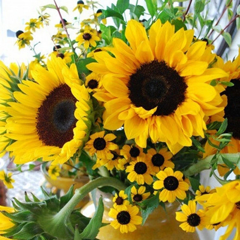 Картинки с днем рождения с подсолнухами